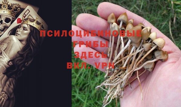 Альфа ПВП Бежецк