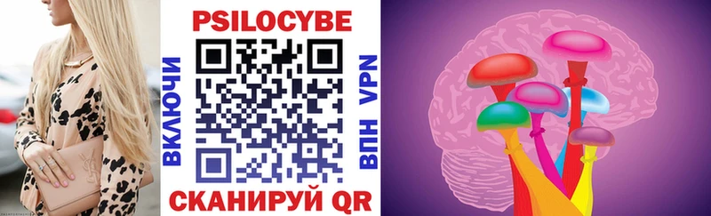 где купить наркоту  ссылка на мегу ССЫЛКА  Галлюциногенные грибы Cubensis  Николаевск 