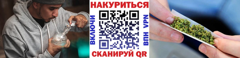 Каннабис планчик  где купить наркотик  Николаевск 